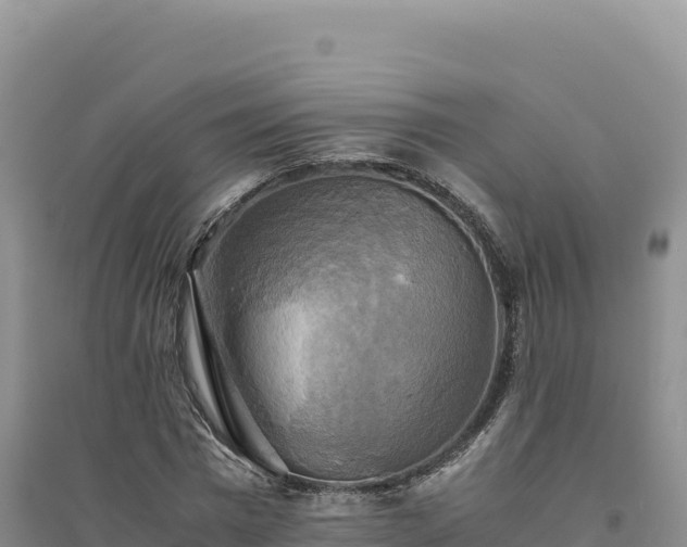 X0000094370777200711091537