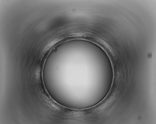 X0000094370778200711091537