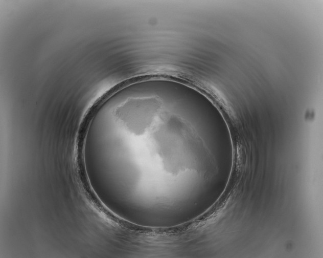 X0000094370780200711091537