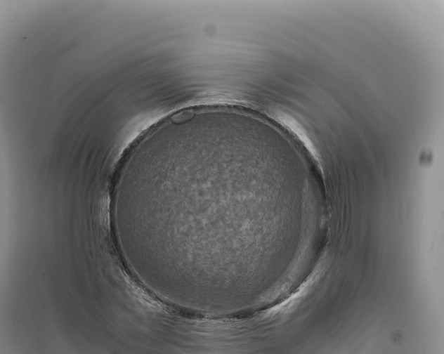 X0000094370781200711091537