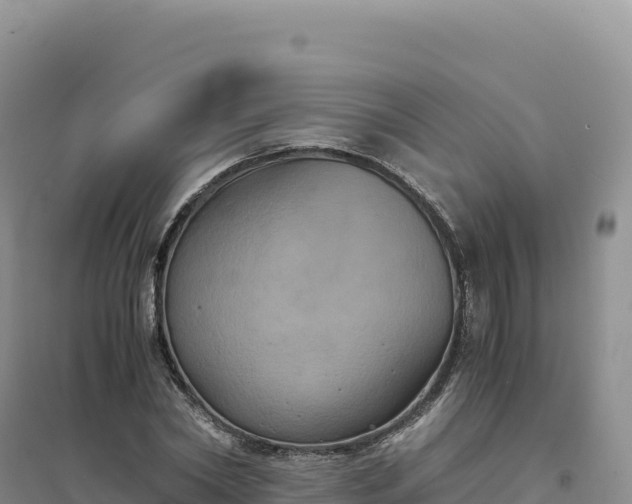 X0000094370782200711091537