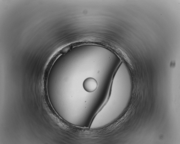 X0000094370784200711091537