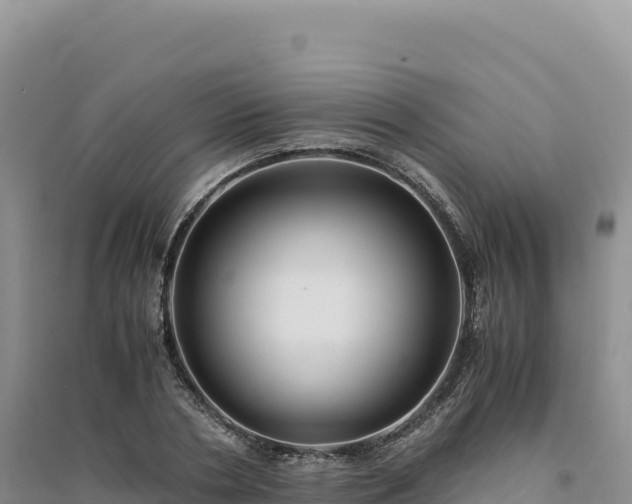 X0000094370786200711091536