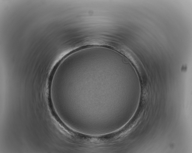 X0000094370787200711091536