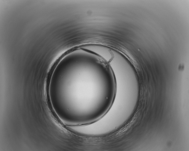 X0000094370788200711091536