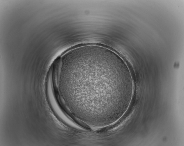 X0000094370789200711091536