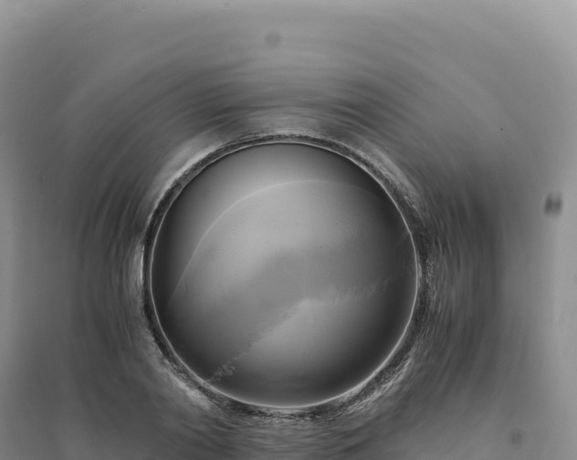 X0000094370790200711091536