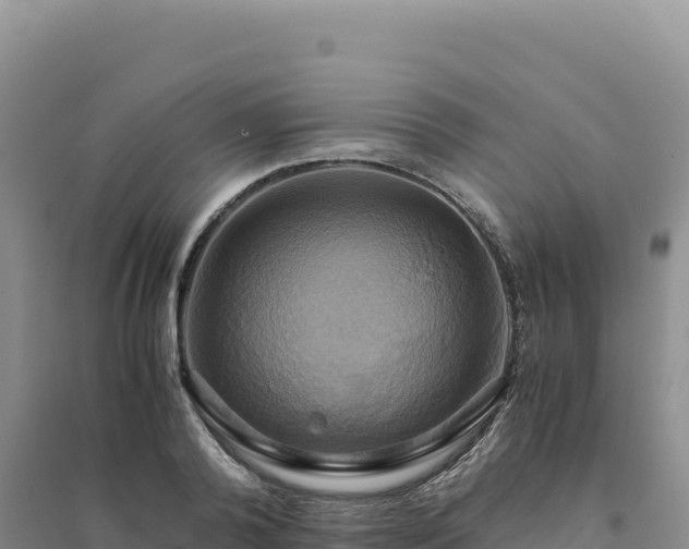 X0000094370792200711091536