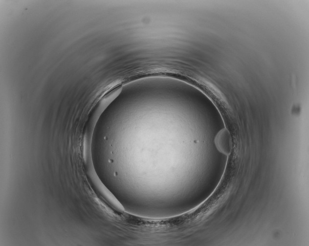 X0000094370793200711091536