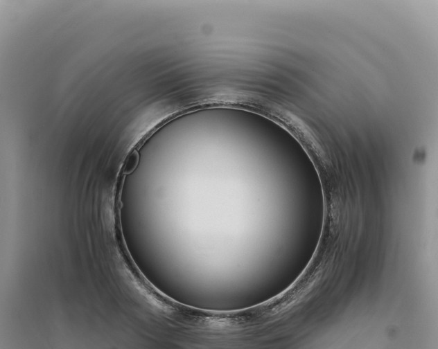 X0000094370794200711091536