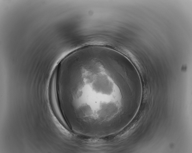 X0000094370795200711091536