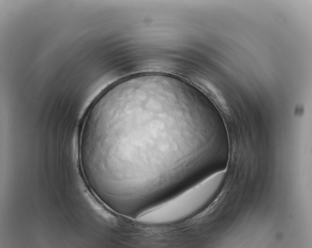 X0000094370796200711091536
