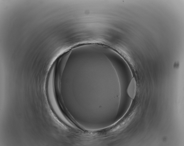 X0000094370797200711091536
