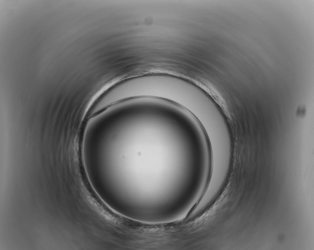 X0000094370798200711091536