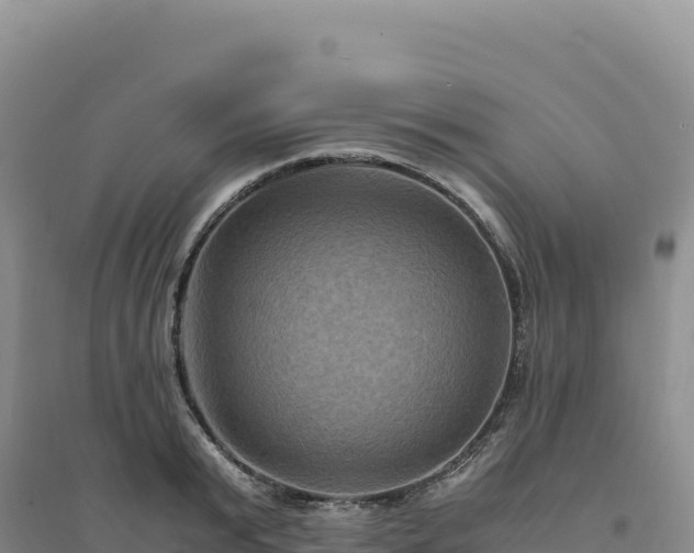 X0000094370799200711091536