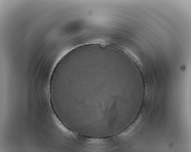 X0000094370800200711091536