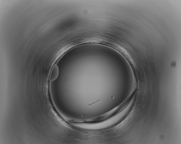 X0000094370802200711091536