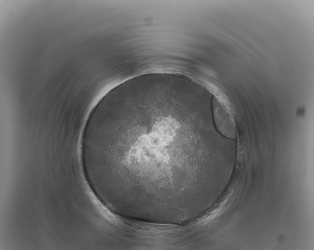 X0000094370803200711091536