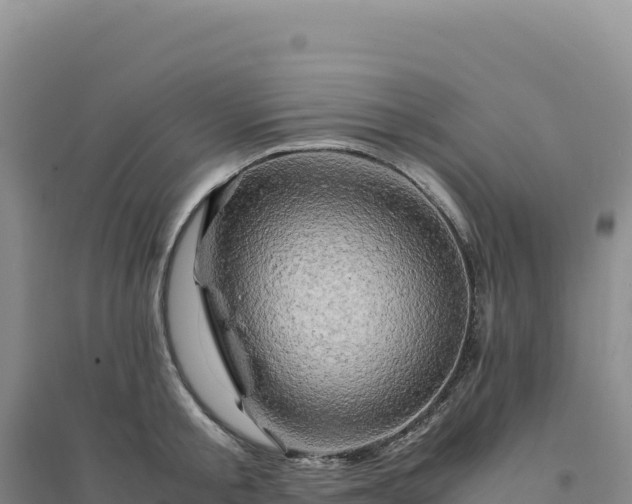 X0000094370805200711091536