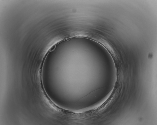X0000094370806200711091536