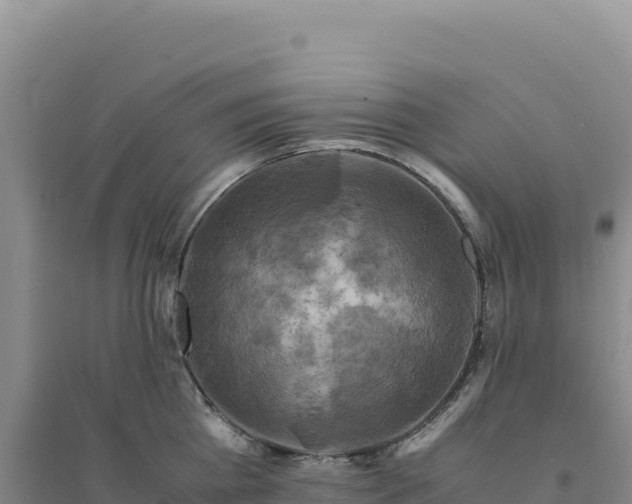 X0000094370809200711091536