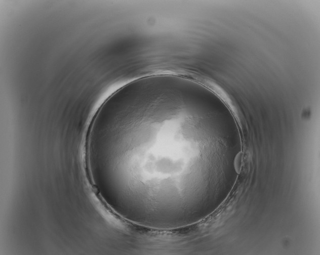 X0000094370811200711091536