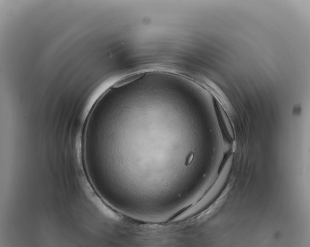 X0000094370812200711091536