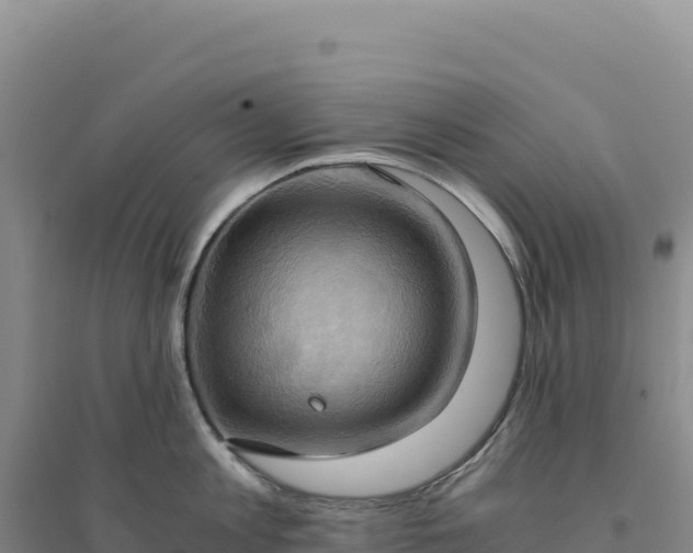 X0000094370813200711091536