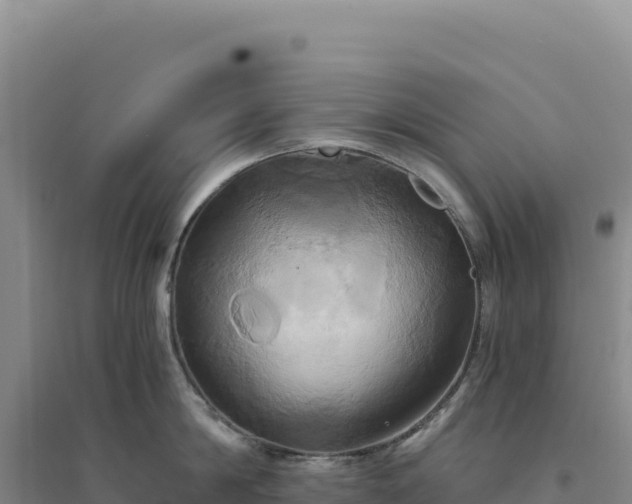 X0000094370814200711091536