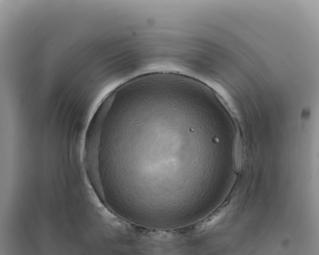 X0000094370815200711091536