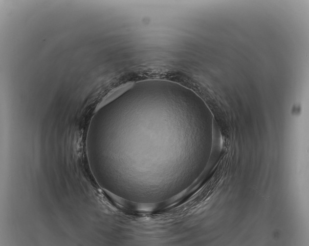 X0000094370818200711091535