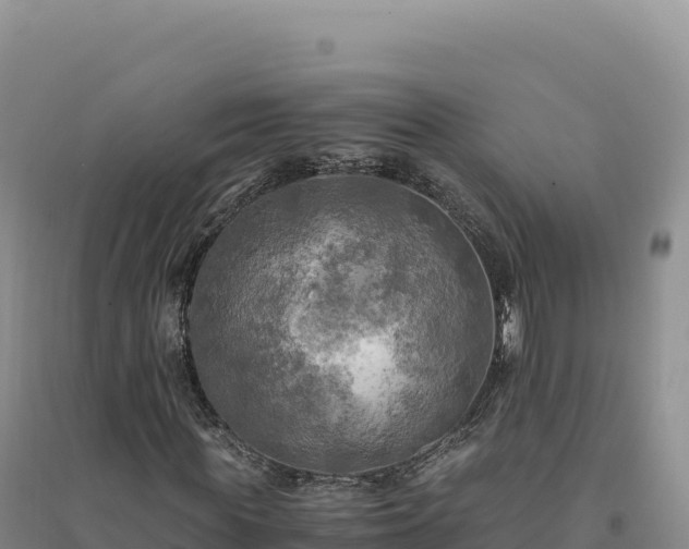 X0000094370819200711091535
