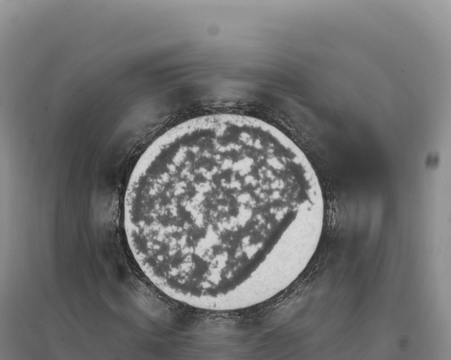 X0000094370820200711091535