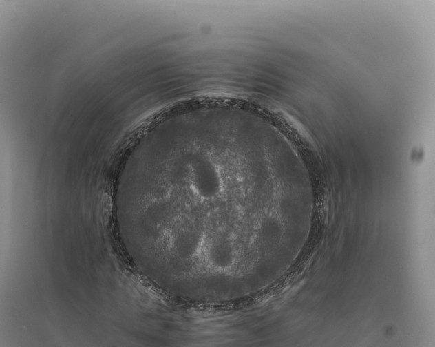 X0000094370821200711091535