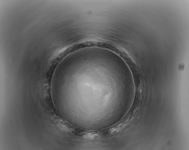 X0000094370822200711091535