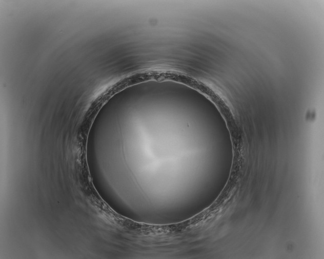 X0000094370823200711091535