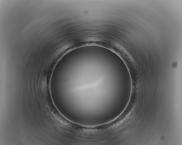 X0000094370825200711091536