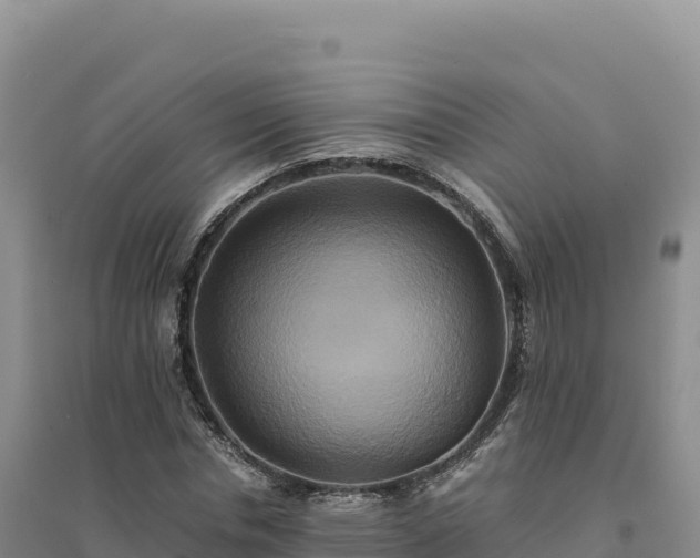 X0000094370826200711091536