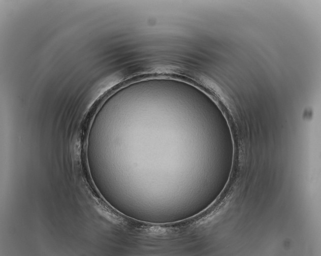 X0000094370827200711091536