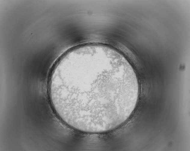 X0000094370828200711091536