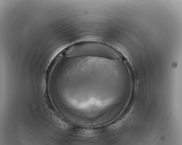 X0000094370829200711091536