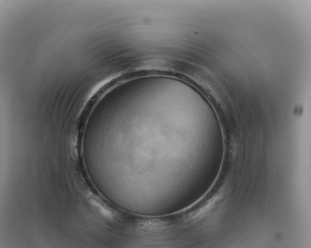 X0000094370830200711091536