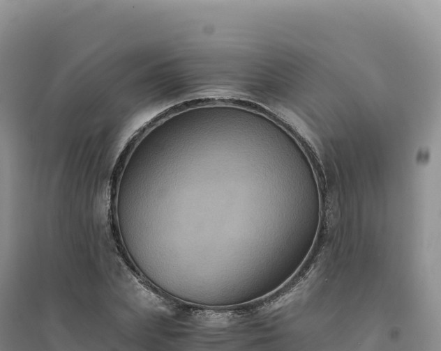 X0000094370831200711091536