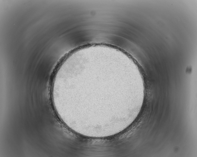 X0000094370832200711091536