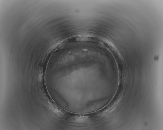 X0000094370833200711091536