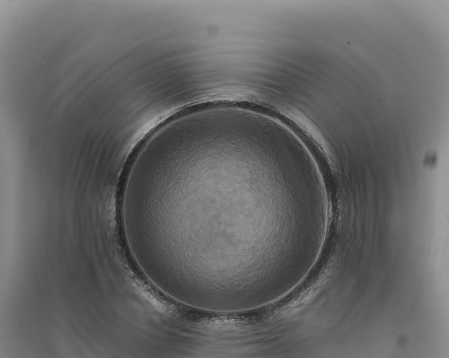 X0000094370834200711091536