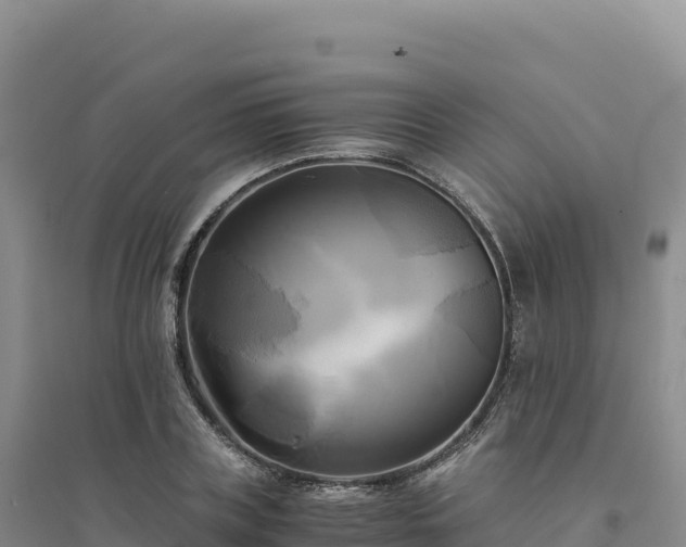 X0000094370835200711091536