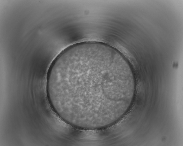 X0000094370836200711091536