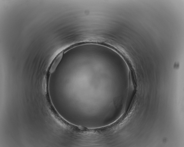 X0000094370838200711091536