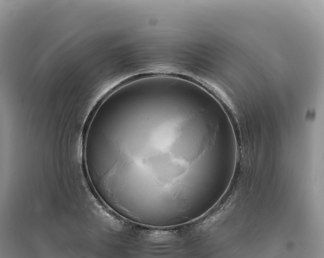 X0000094370839200711091536
